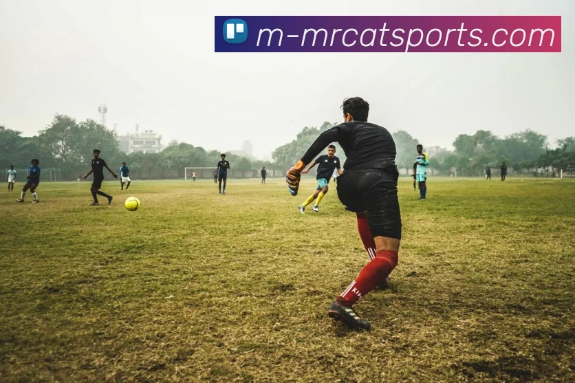 体育下注平台生态图