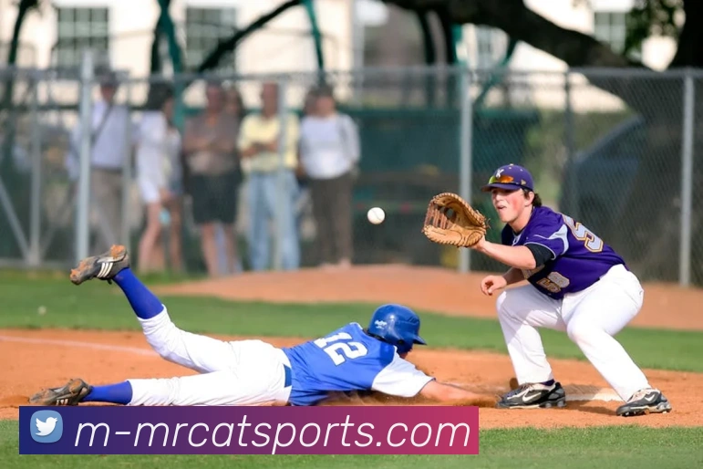 体育下注APP 封面图